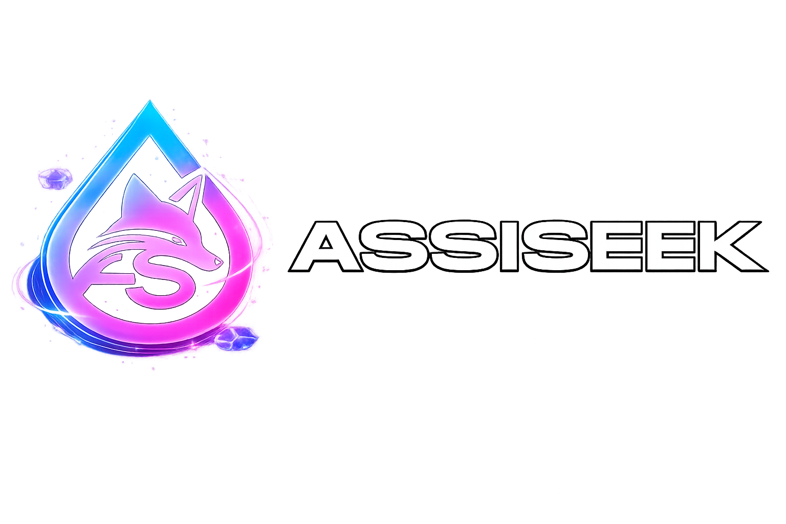 AssiSeek
